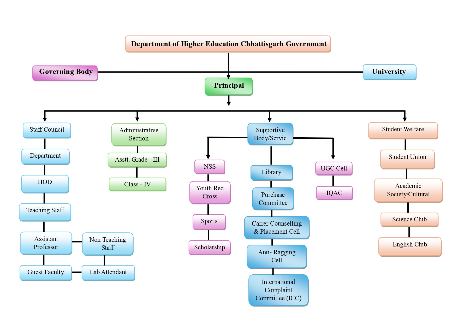 Organogram